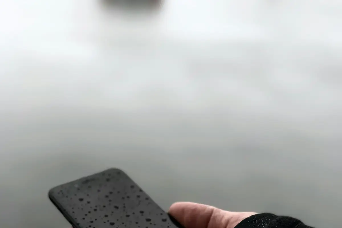 Brak ochrony przed zwierzyną niszczy pracę w jedną noc